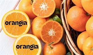 Orangîa