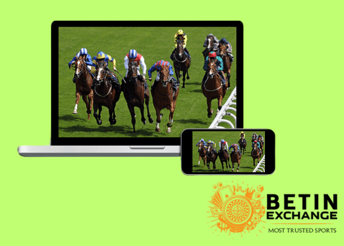 Best tips to play Horse Racing at Betinexchange