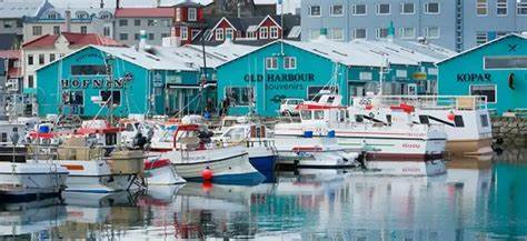 reykjavik belangrijkste bezienswaardigheden en verborgen plekken audiotocht door voicemap