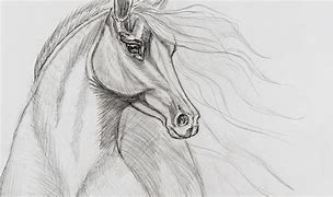 Drawing:v74uyhgg9tq= horse