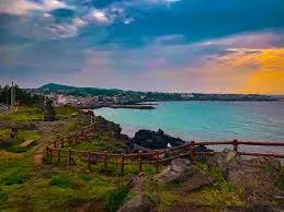 Discover the Best OP Services in Jeju Jeju OP